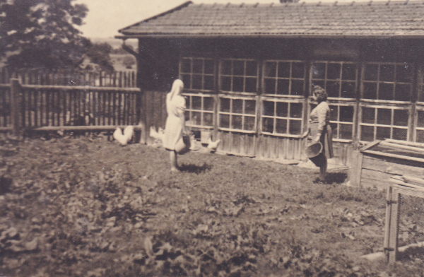 Bild Schererg&uuml;tl